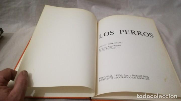 Libros de segunda mano: LOS PERROS-ADRIANO TORREGROSA		EDITORIAL TEIDE 1972 - Foto 3