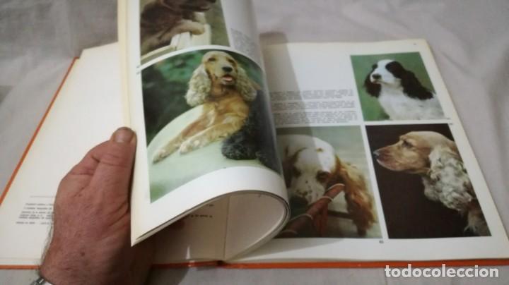 Libros de segunda mano: LOS PERROS-ADRIANO TORREGROSA		EDITORIAL TEIDE 1972 - Foto 12
