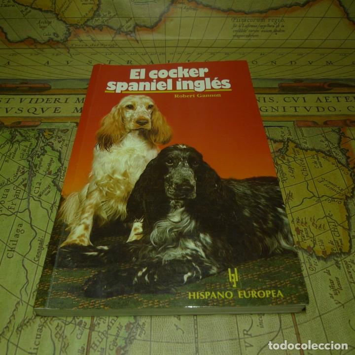Libros de segunda mano: EL COCKER SPANIEL INGL&Eacute;S. ROBERT GANNON. HISPANO EUROPEA 1999. - Foto 1