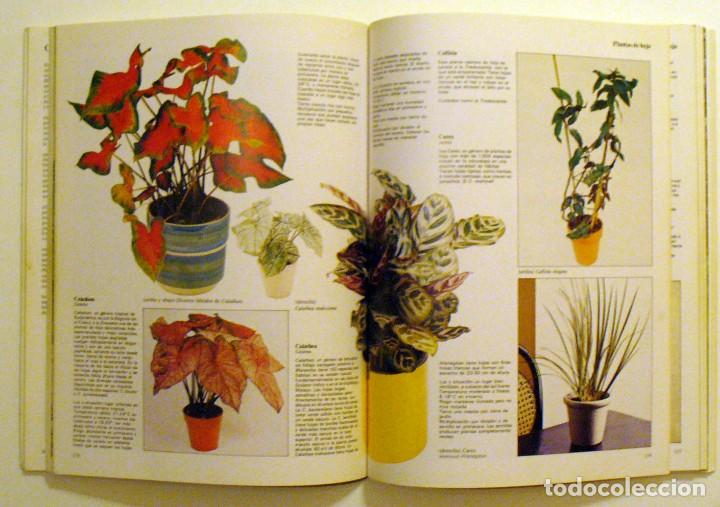 Libros de segunda mano: Flores y plantas en casa.  Cynthia Wickham. - Foto 2