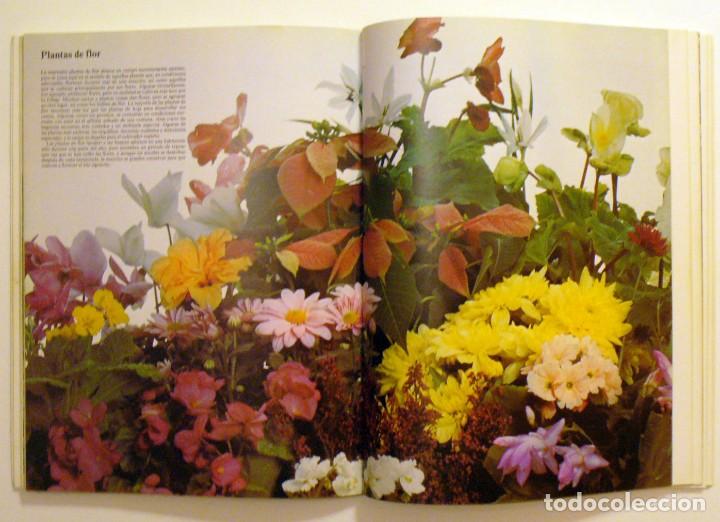 Libros de segunda mano: Flores y plantas en casa.  Cynthia Wickham. - Foto 3