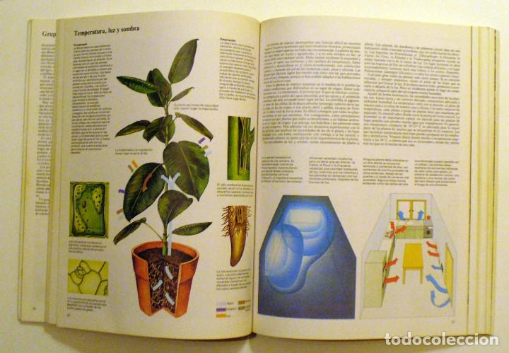 Libros de segunda mano: Flores y plantas en casa.  Cynthia Wickham. - Foto 4
