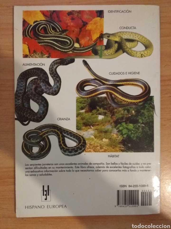 Libros de segunda mano: Serpientes jarreteras. W.P. Mara. Hispano Europea - Foto 2