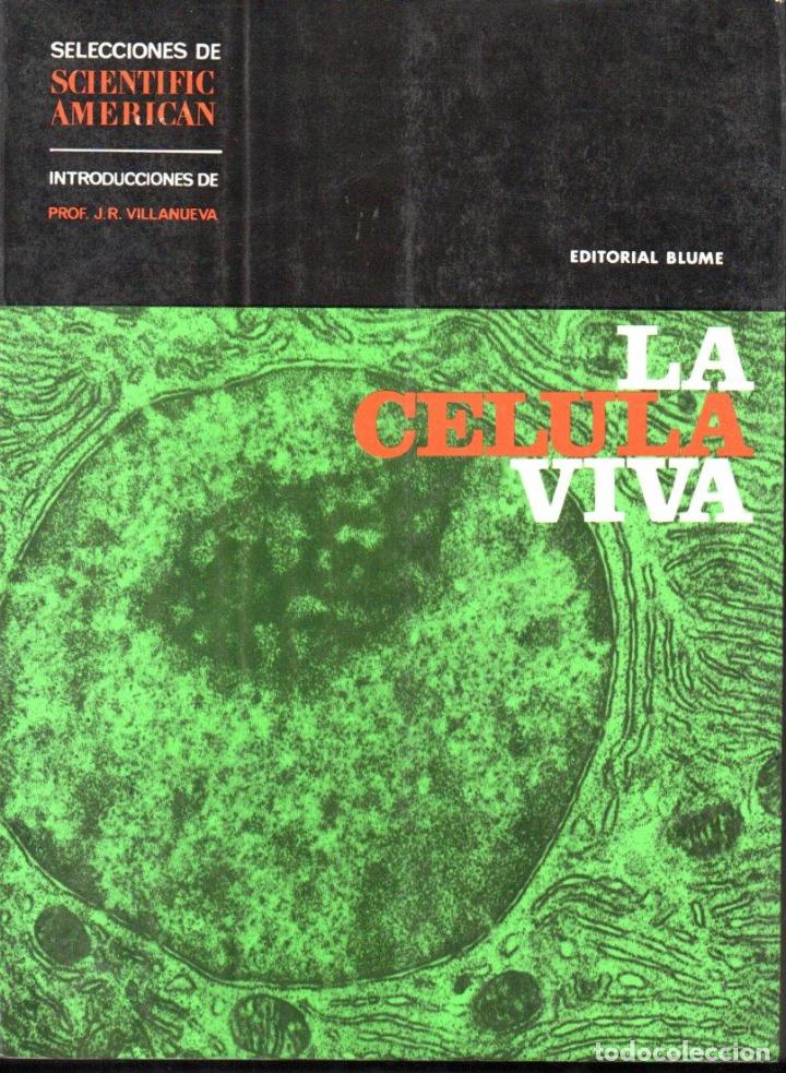 Libros de segunda mano: SCIENTIFIC AMERICAN : LA C&Eacute;LULA VIVA (BLUME, 1969) - Foto 1