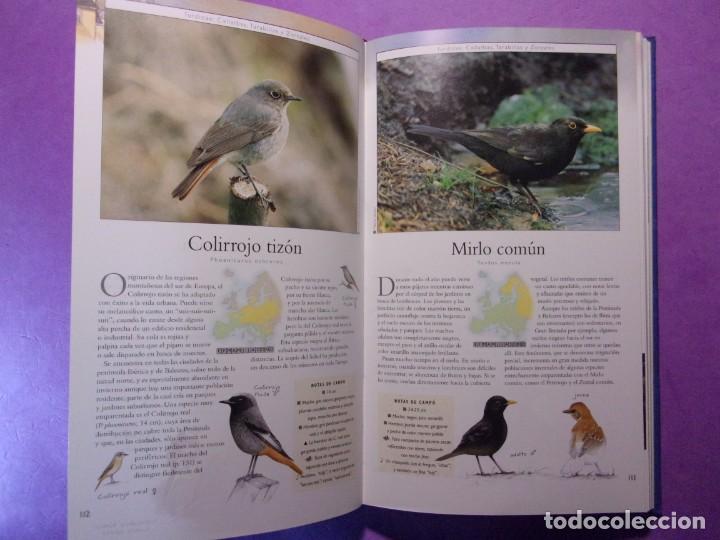 Libros de segunda mano: AVES DE EUROPA / 1999. OMEGA - Foto 3