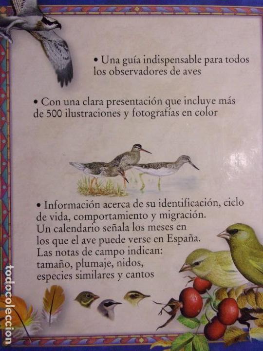 Libros de segunda mano: AVES DE EUROPA / 1999. OMEGA - Foto 4