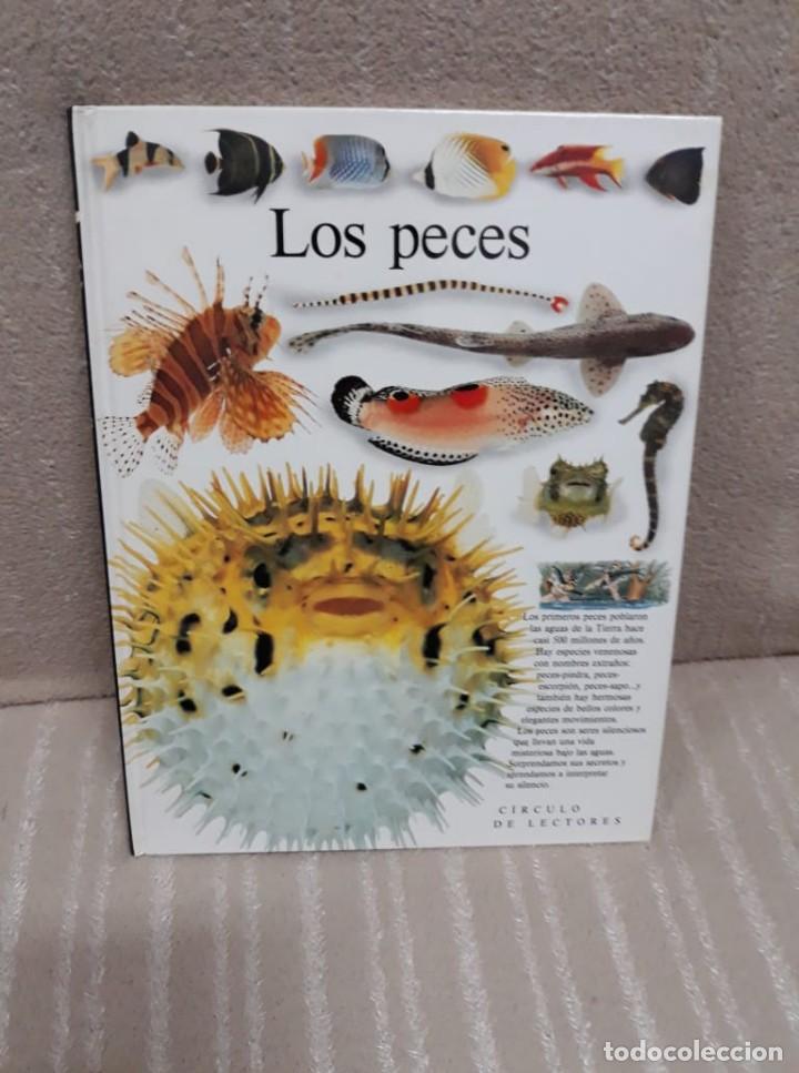 Libros de segunda mano: LOS PECES - BIBLIOTECA VISUAL - C&Iacute;RCULO DE LECTORES - Foto 1