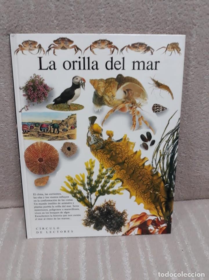 Libros de segunda mano: LA ORILLA DEL MAR - BIBLIOTECA VISUAL - C&Iacute;RCULO DE LECTORES - Foto 1