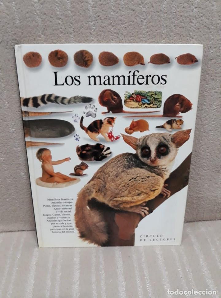 Libros de segunda mano: LOS MAM&Iacute;FEROS - BIBLIOTECA VISUAL - C&Iacute;RCULO DE LECTORES - Foto 1