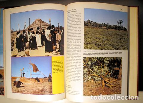 Libros de segunda mano de ciencias: VECTOR-2 (3 vol. - Completo) - Barcelona 1969 - Ilustrado - Foto 3