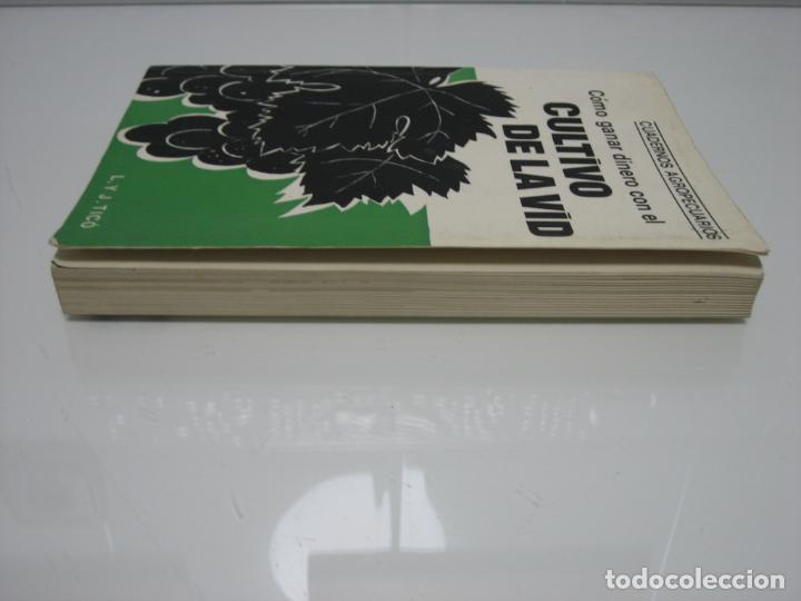 Libros de segunda mano: Cultiv&oacute; de la vid - Foto 5