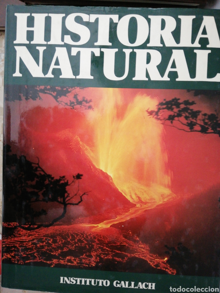Libros de segunda mano: Historia Natural enciclopedia - Foto 1
