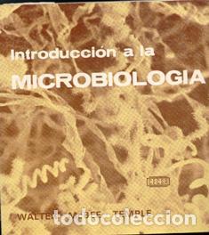 Libros de segunda mano: Introducci&oacute;n a la microbiolog&iacute;a, Walter. Mcbee. Temple - Foto 1