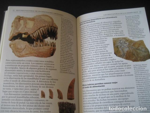 Libros de segunda mano: LIBRO EL MUNDO PERDIDO DE LOS DINOSAURIOS - Foto 8