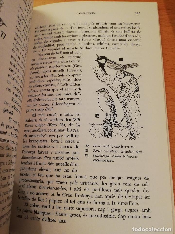 Libros de segunda mano: ELS AUCELLS DE LES BALEARS (JOAN MAYOL SERRA) - Foto 4