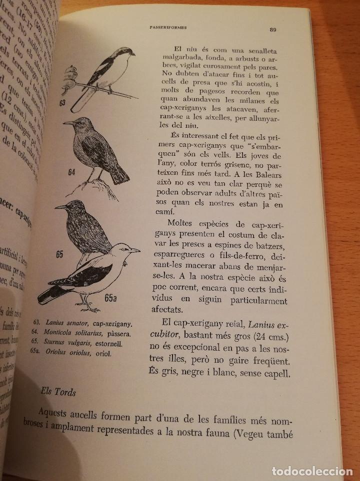 Libros de segunda mano: ELS AUCELLS DE LES BALEARS (JOAN MAYOL SERRA) - Foto 6