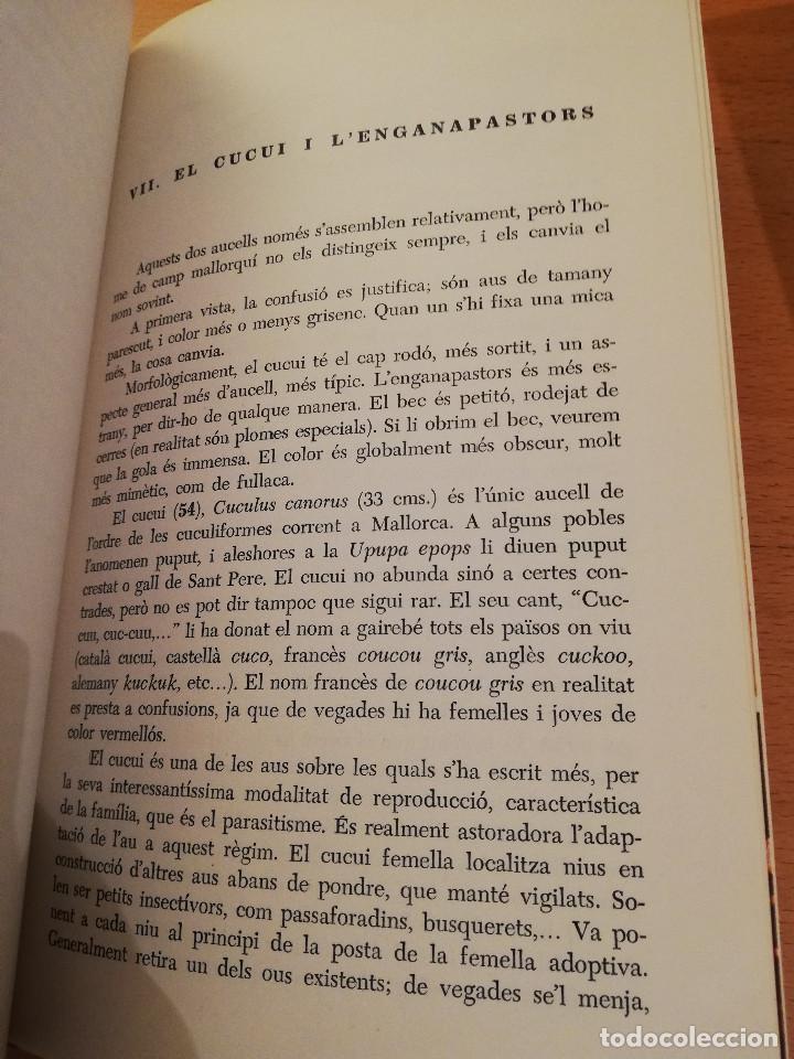 Libros de segunda mano: ELS AUCELLS DE LES BALEARS (JOAN MAYOL SERRA) - Foto 8