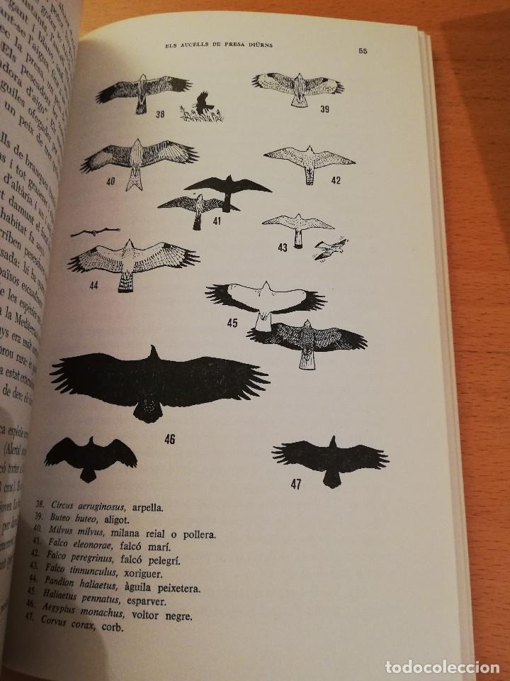 Libros de segunda mano: ELS AUCELLS DE LES BALEARS (JOAN MAYOL SERRA) - Foto 9