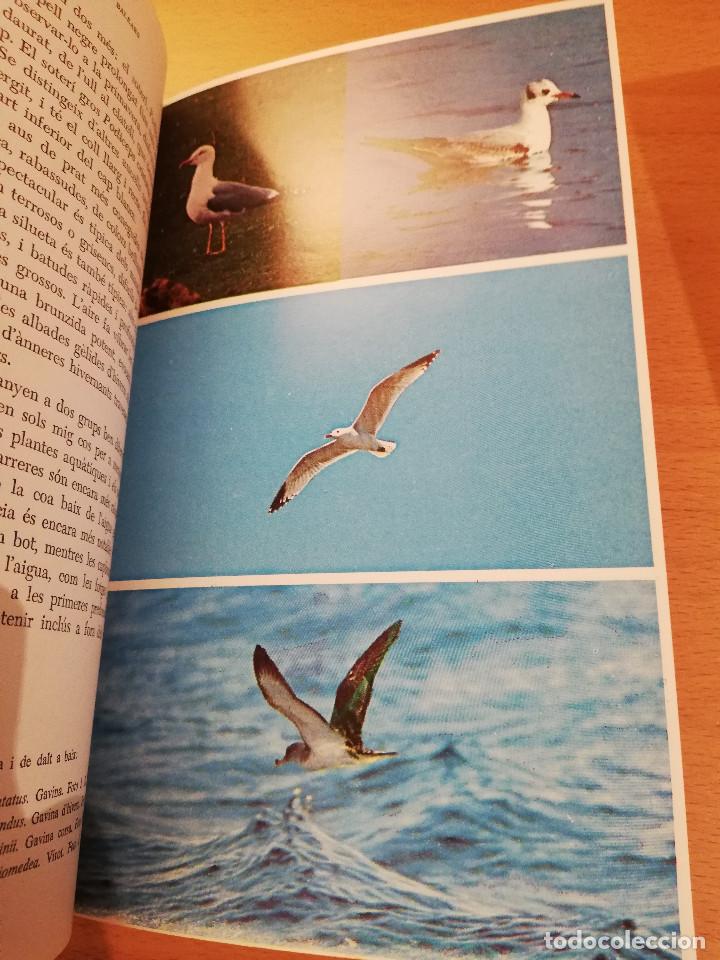 Libros de segunda mano: ELS AUCELLS DE LES BALEARS (JOAN MAYOL SERRA) - Foto 10