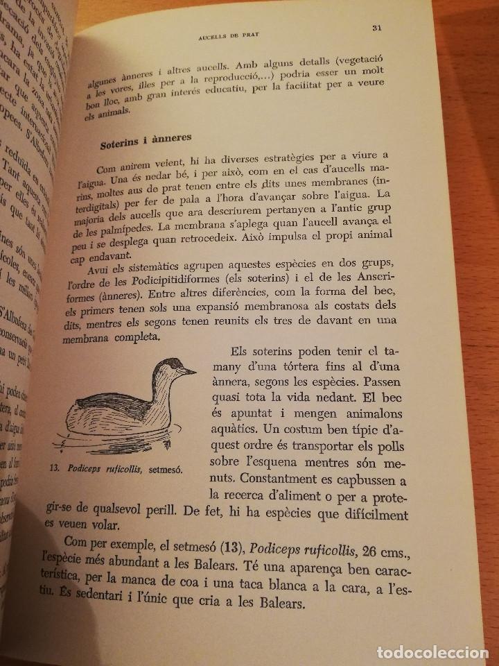 Libros de segunda mano: ELS AUCELLS DE LES BALEARS (JOAN MAYOL SERRA) - Foto 11