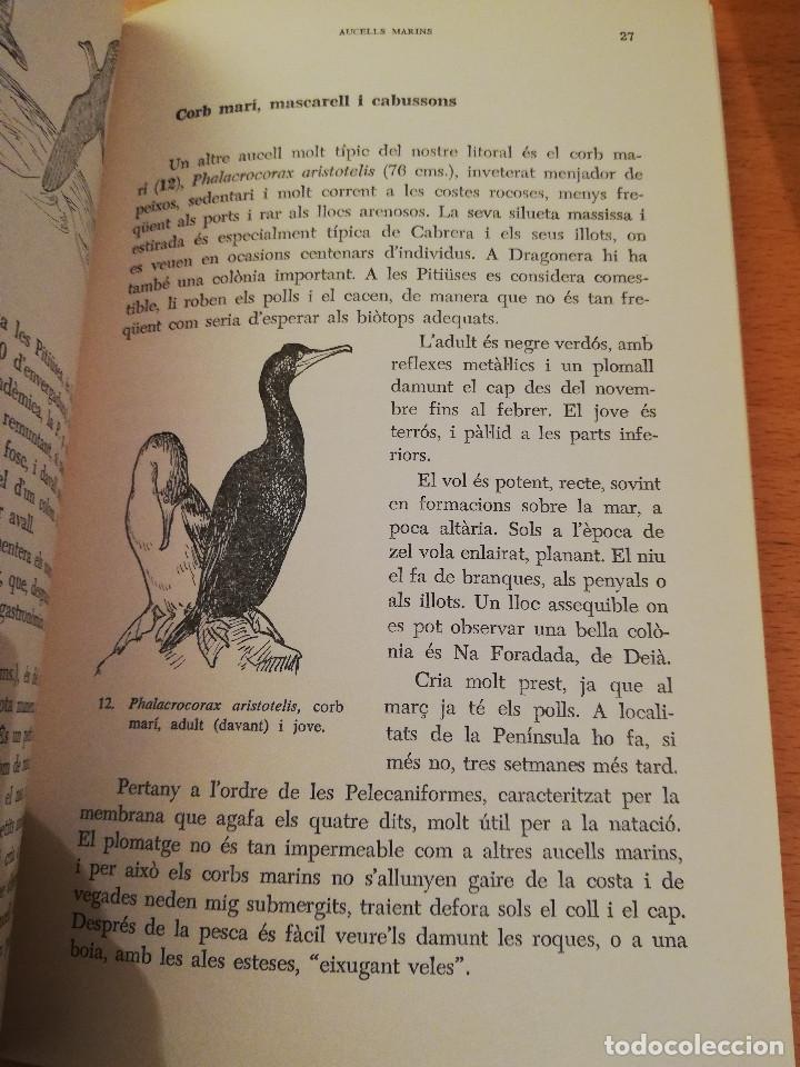 Libros de segunda mano: ELS AUCELLS DE LES BALEARS (JOAN MAYOL SERRA) - Foto 12