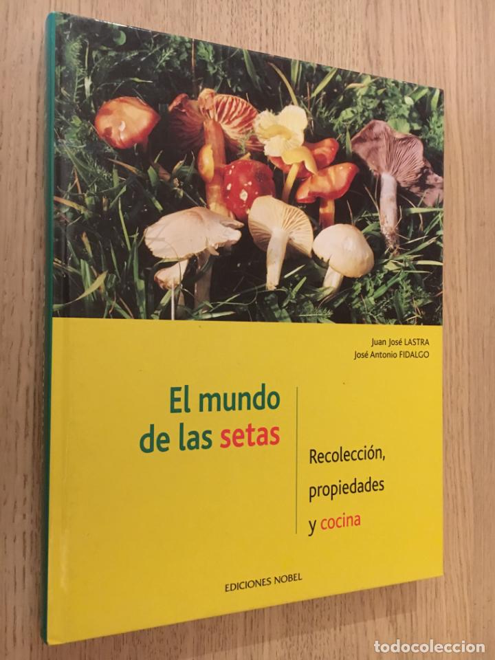 Libros de segunda mano: EL MUNDO DE LAS SETAS - JUAN JOS&Eacute; LASTRA - Foto 1