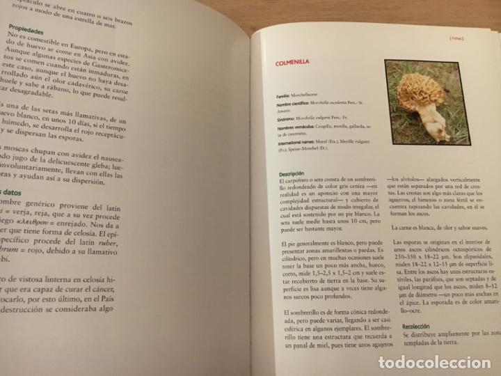 Libros de segunda mano: EL MUNDO DE LAS SETAS - JUAN JOS&Eacute; LASTRA - Foto 2
