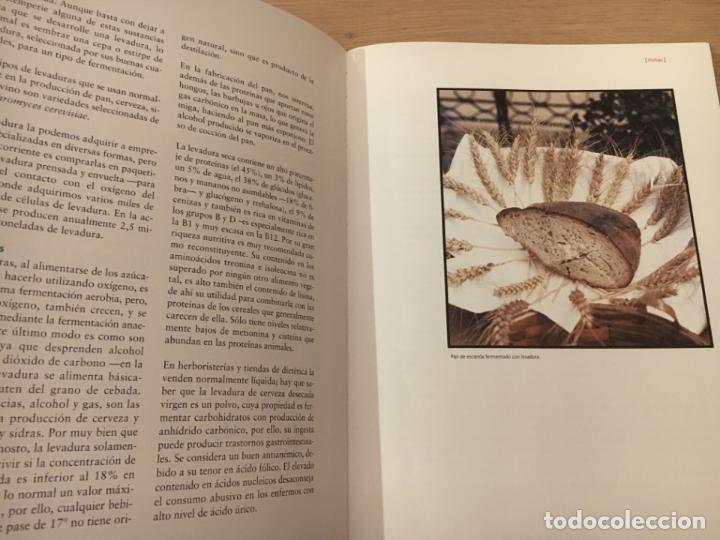 Libros de segunda mano: EL MUNDO DE LAS SETAS - JUAN JOS&Eacute; LASTRA - Foto 3