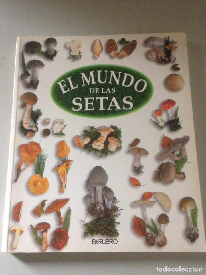 Libros de segunda mano: EL MUNDO DE LAS SETAS - Foto 1
