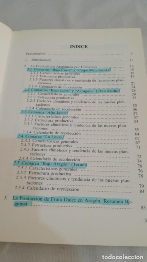 Libros de segunda mano: EL SECTOR DE FRUTA DULCE EN ARAGON - - Foto 7