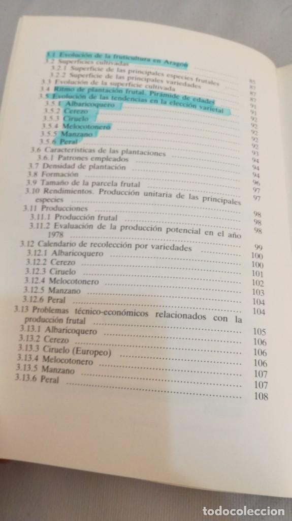Libros de segunda mano: EL SECTOR DE FRUTA DULCE EN ARAGON - - Foto 8