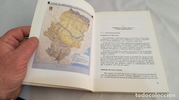 Libros de segunda mano: EL SECTOR DE FRUTA DULCE EN ARAGON - - Foto 11