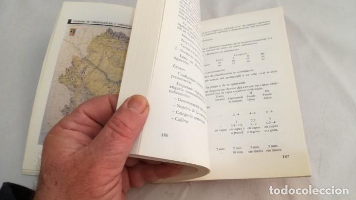 Libros de segunda mano: EL SECTOR DE FRUTA DULCE EN ARAGON - - Foto 12