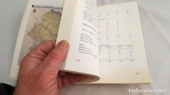 Libros de segunda mano: EL SECTOR DE FRUTA DULCE EN ARAGON - - Foto 13