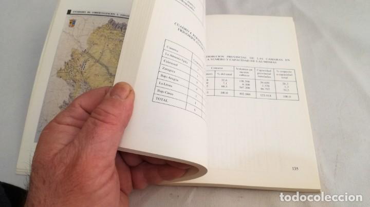 Libros de segunda mano: EL SECTOR DE FRUTA DULCE EN ARAGON - - Foto 15