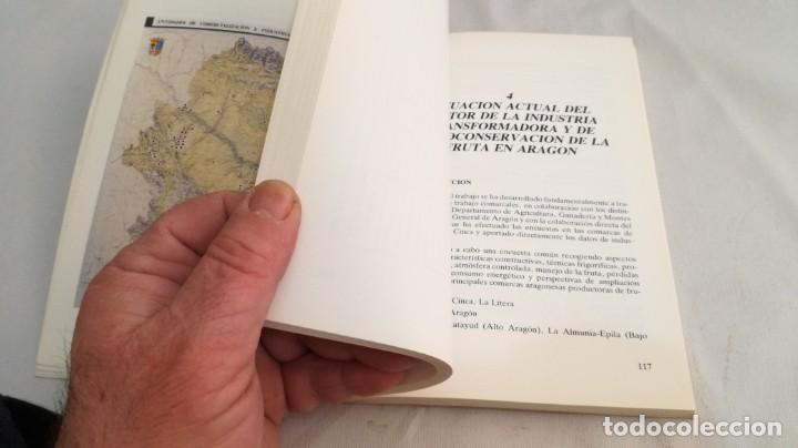 Libros de segunda mano: EL SECTOR DE FRUTA DULCE EN ARAGON - - Foto 16