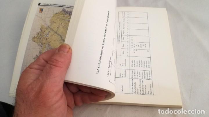 Libros de segunda mano: EL SECTOR DE FRUTA DULCE EN ARAGON - - Foto 17