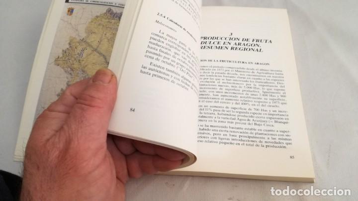 Libros de segunda mano: EL SECTOR DE FRUTA DULCE EN ARAGON - - Foto 18