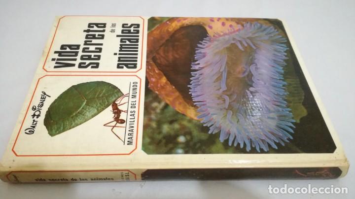 Libros de segunda mano: VIDA SECRETA DE LOS ANIMALES - WALT DISNEY - EDICIONES GAISA - Foto 1