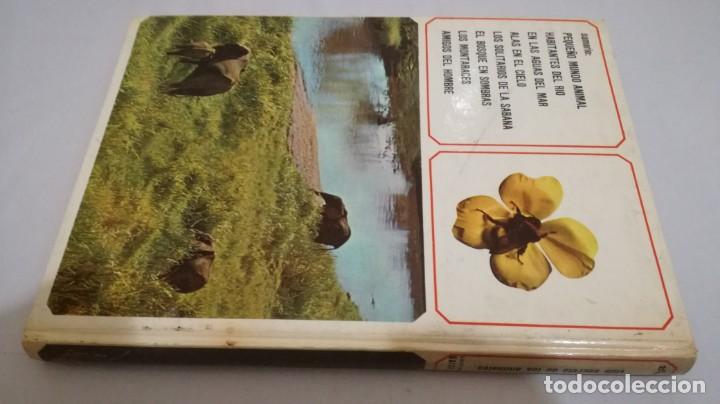 Libros de segunda mano: VIDA SECRETA DE LOS ANIMALES - WALT DISNEY - EDICIONES GAISA - Foto 2