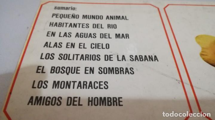 Libros de segunda mano: VIDA SECRETA DE LOS ANIMALES - WALT DISNEY - EDICIONES GAISA - Foto 3