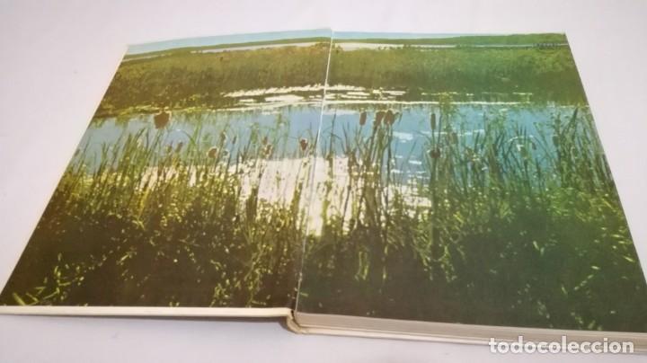 Libros de segunda mano: VIDA SECRETA DE LOS ANIMALES - WALT DISNEY - EDICIONES GAISA - Foto 5