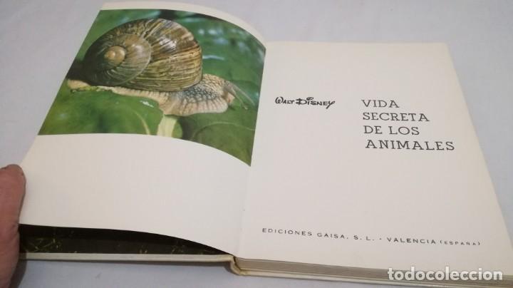 Libros de segunda mano: VIDA SECRETA DE LOS ANIMALES - WALT DISNEY - EDICIONES GAISA - Foto 6