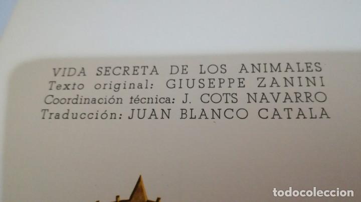 Libros de segunda mano: VIDA SECRETA DE LOS ANIMALES - WALT DISNEY - EDICIONES GAISA - Foto 8