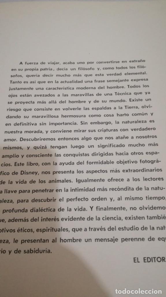 Libros de segunda mano: VIDA SECRETA DE LOS ANIMALES - WALT DISNEY - EDICIONES GAISA - Foto 11