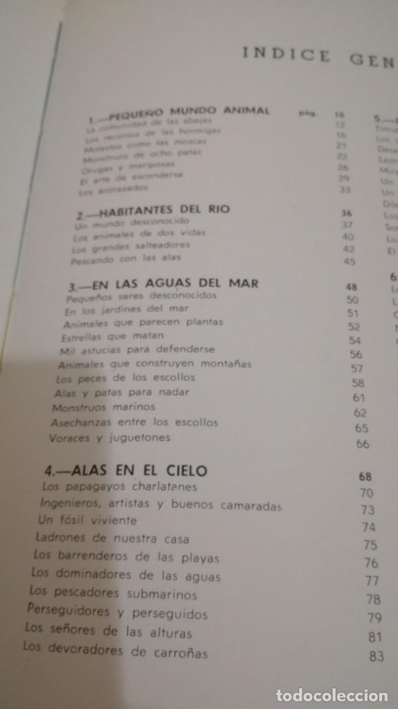Libros de segunda mano: VIDA SECRETA DE LOS ANIMALES - WALT DISNEY - EDICIONES GAISA - Foto 13