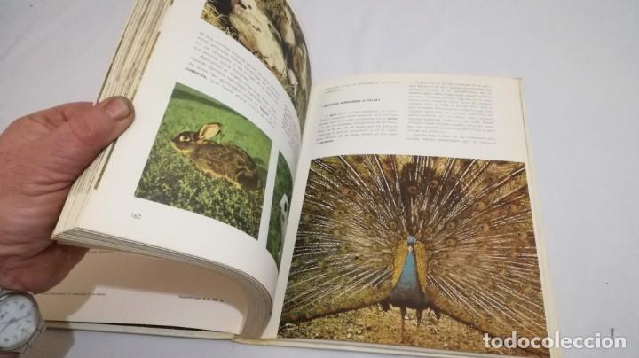 Libros de segunda mano: VIDA SECRETA DE LOS ANIMALES - WALT DISNEY - EDICIONES GAISA - Foto 16