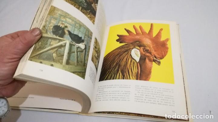 Libros de segunda mano: VIDA SECRETA DE LOS ANIMALES - WALT DISNEY - EDICIONES GAISA - Foto 17