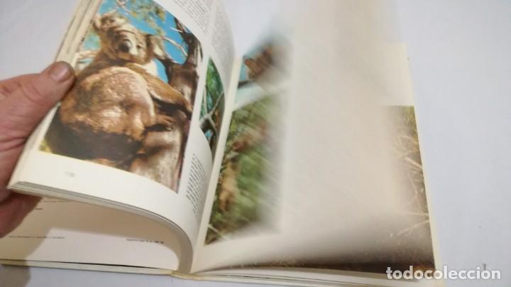 Libros de segunda mano: VIDA SECRETA DE LOS ANIMALES - WALT DISNEY - EDICIONES GAISA - Foto 19