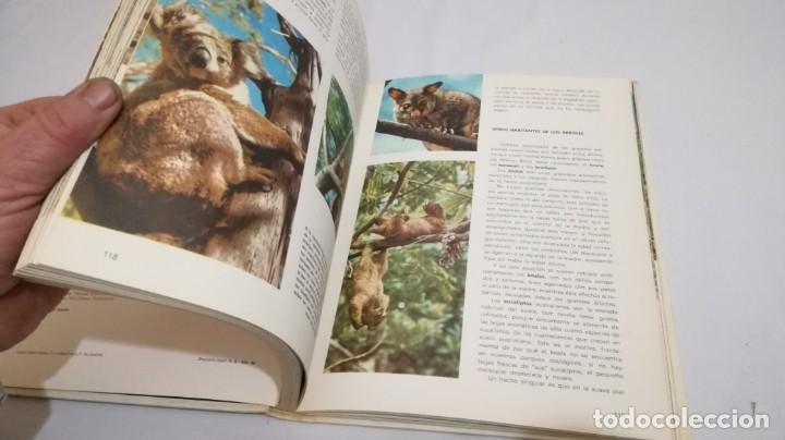 Libros de segunda mano: VIDA SECRETA DE LOS ANIMALES - WALT DISNEY - EDICIONES GAISA - Foto 20
